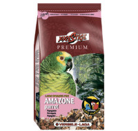 Premium Amazone Parrot